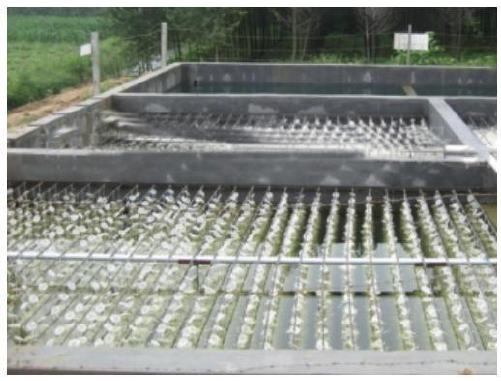 Slaughter wastewater treatment technology